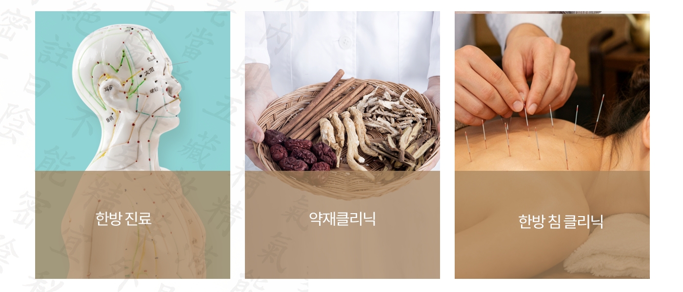 Korean medicine treatment